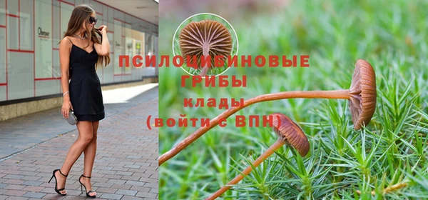 МДПВ Арсеньев